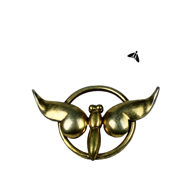 Beynimde Bir Güve - 1