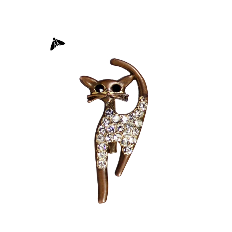 Kedi Kadının Yanındaydı - 1